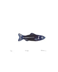 Fish Print